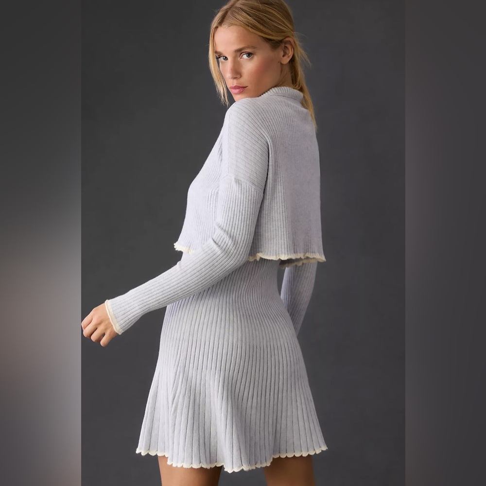 Anthropologie Long Sleeve Winter Mini Dress